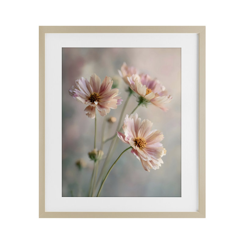 Motif de marguerites roses en gros plan sous verre, design par Franklyn Gregory, 21 x 17, Harvest Pine Under Glass Framed