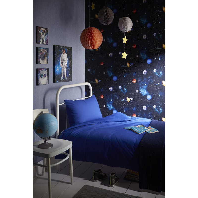 Coleshill 10.05m x 53cm Matte Wallpaper Roll
