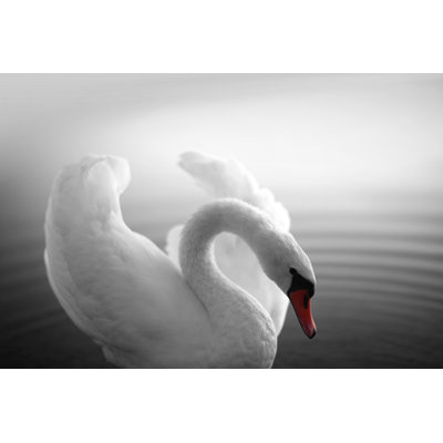 Swan Lake Bird by Chrissadowski