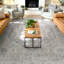  Tapis oriental gris clair Apollo Tirana-88588518