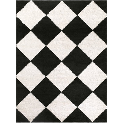 Moroccan Area Rug