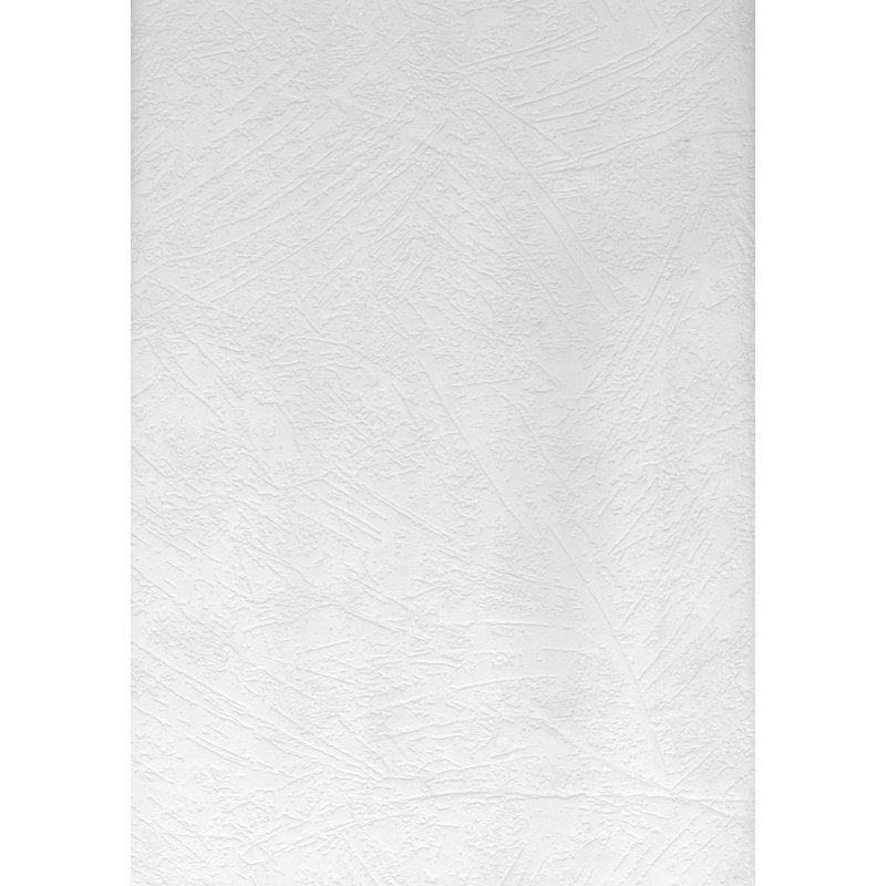 Rouleau de papier peint à peindre L 396 pi x l 20,5 po Netson