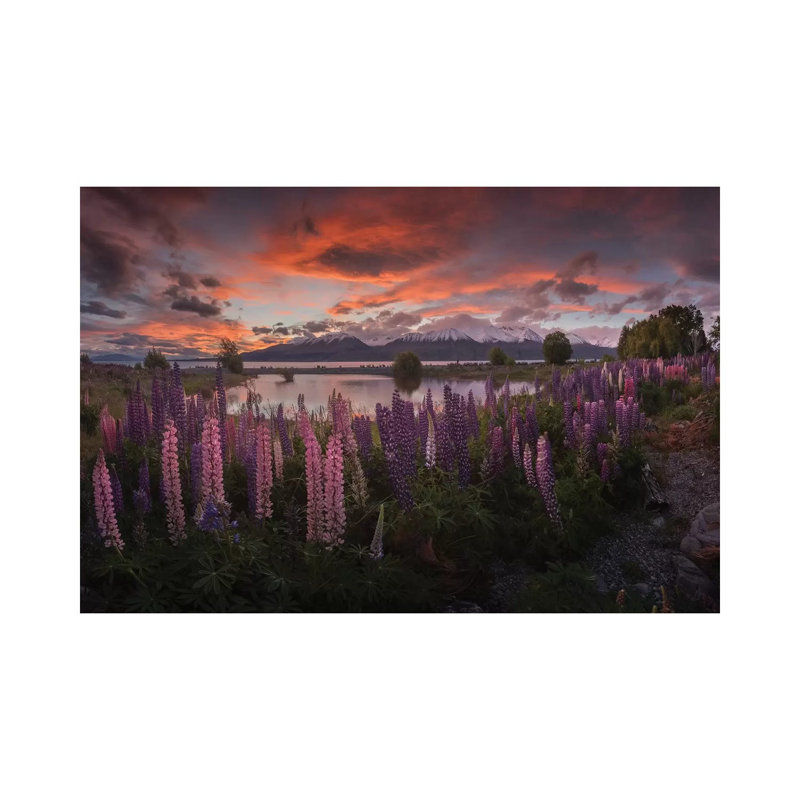 Spring In New Zealand V by Daniel Kordan - Wrapped Canvas Gallery-Wrapped Canvas Giclée, 20.32 cm H x 30.48 cm W