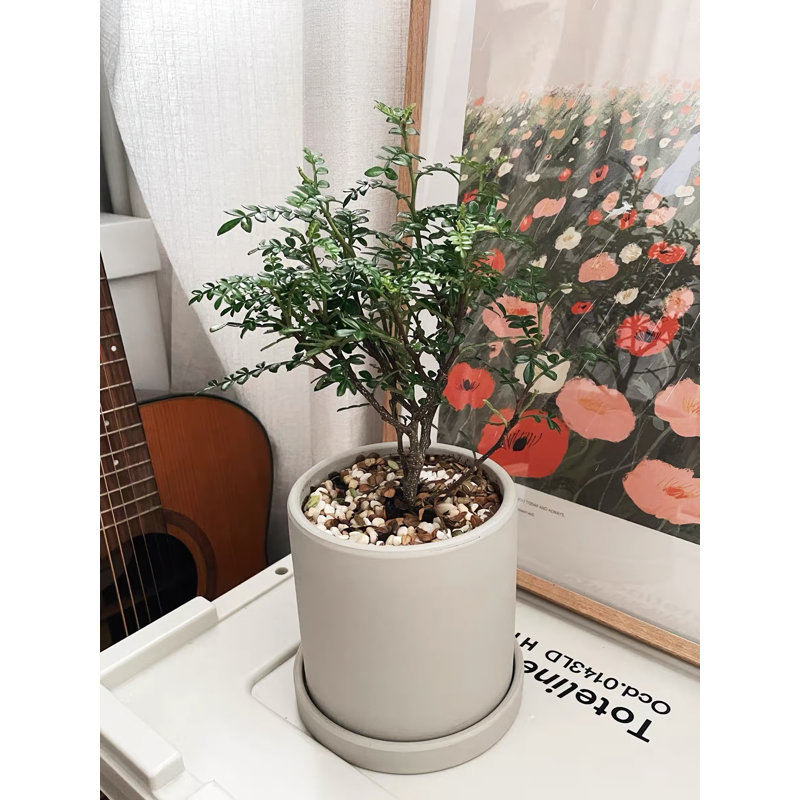 Pot de fleurs en céramique