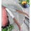 Laguiole Connoisseur 4.5" Steak Knife