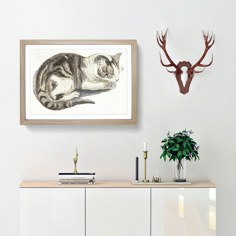 Cat by Johan Teyler - Framed Print, 36cm H x 48cm W x 2cm D, Oak Framed