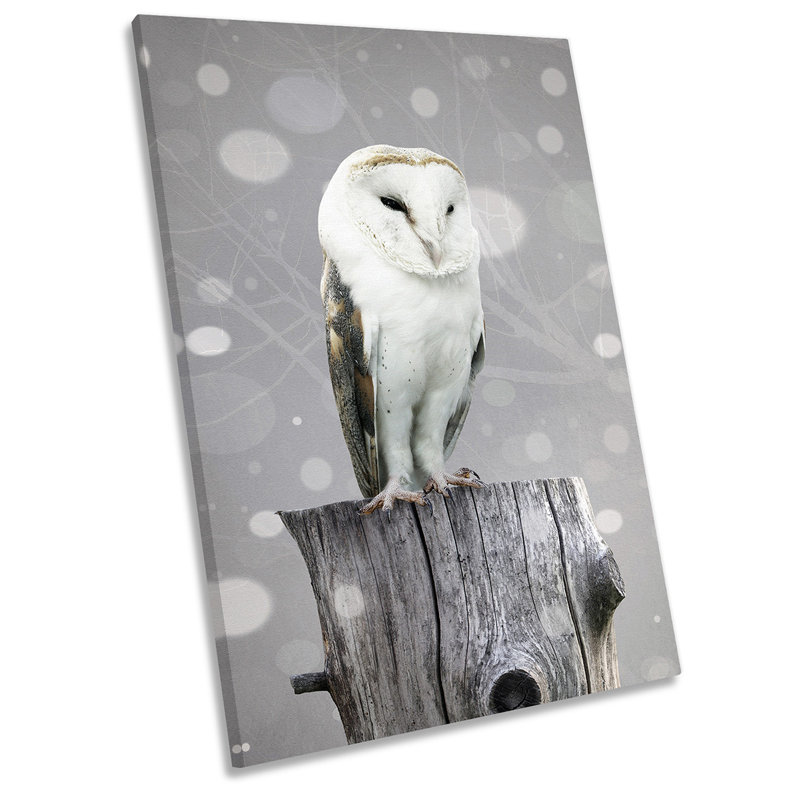 Barn Owl - Wrapped Canvas Print, 121.9cm H x 81.3cm W x 4cm D