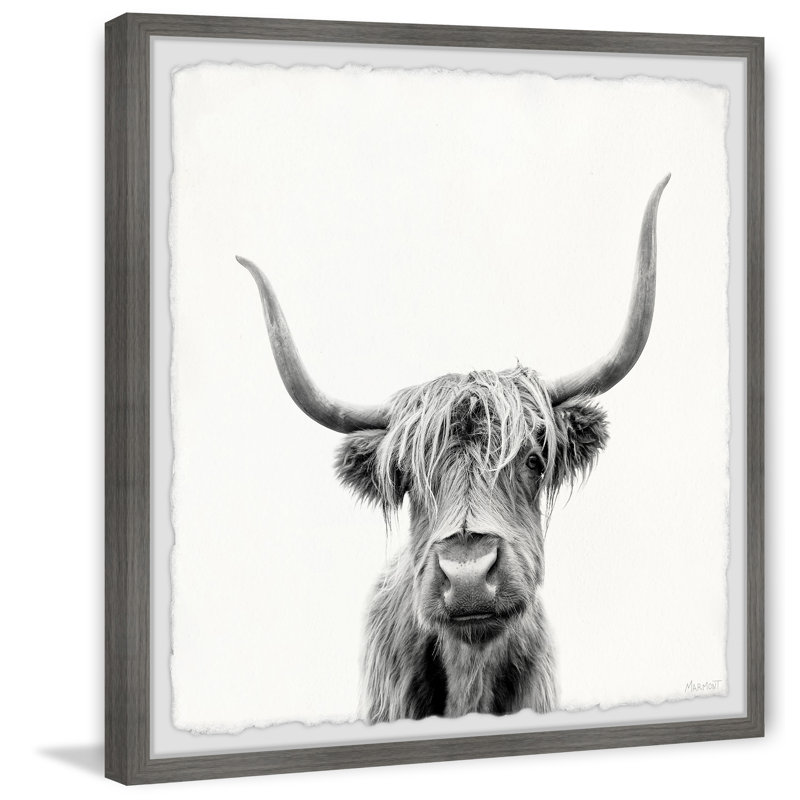 Just A Hairy Face - Single Picture Frame Print, 30cm H x 30cm W x 3.81cm D