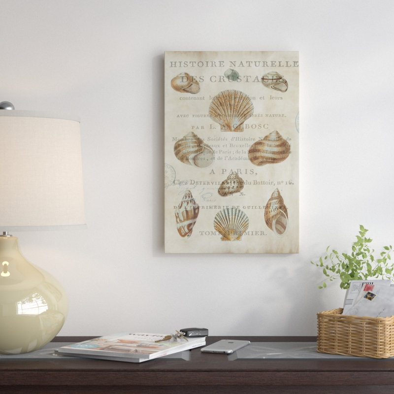 « shell collection ii », reproduction d’impression sur toile tendue, H 26 po x l 18 po x P 1,5 po, Toile encadrée noire