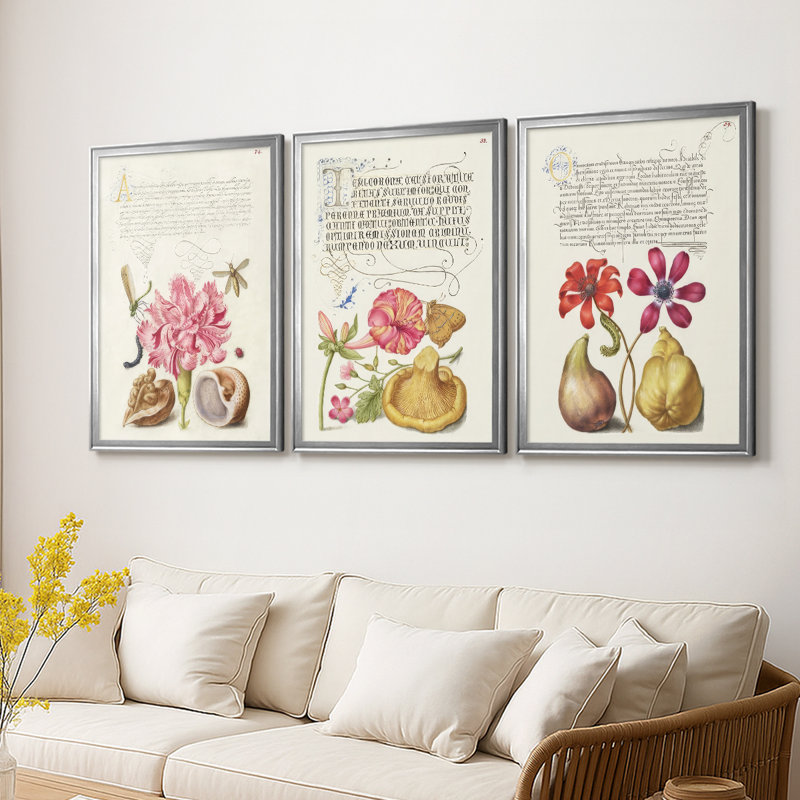 Hoefnagel Tropical Specples VI - Toile tendue avec châssis sur mesure - 3 pièces, H 21 po x l 30 po, Argent argent