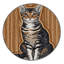  Tapis lavable pour chats Tennessee Rex-1159521188