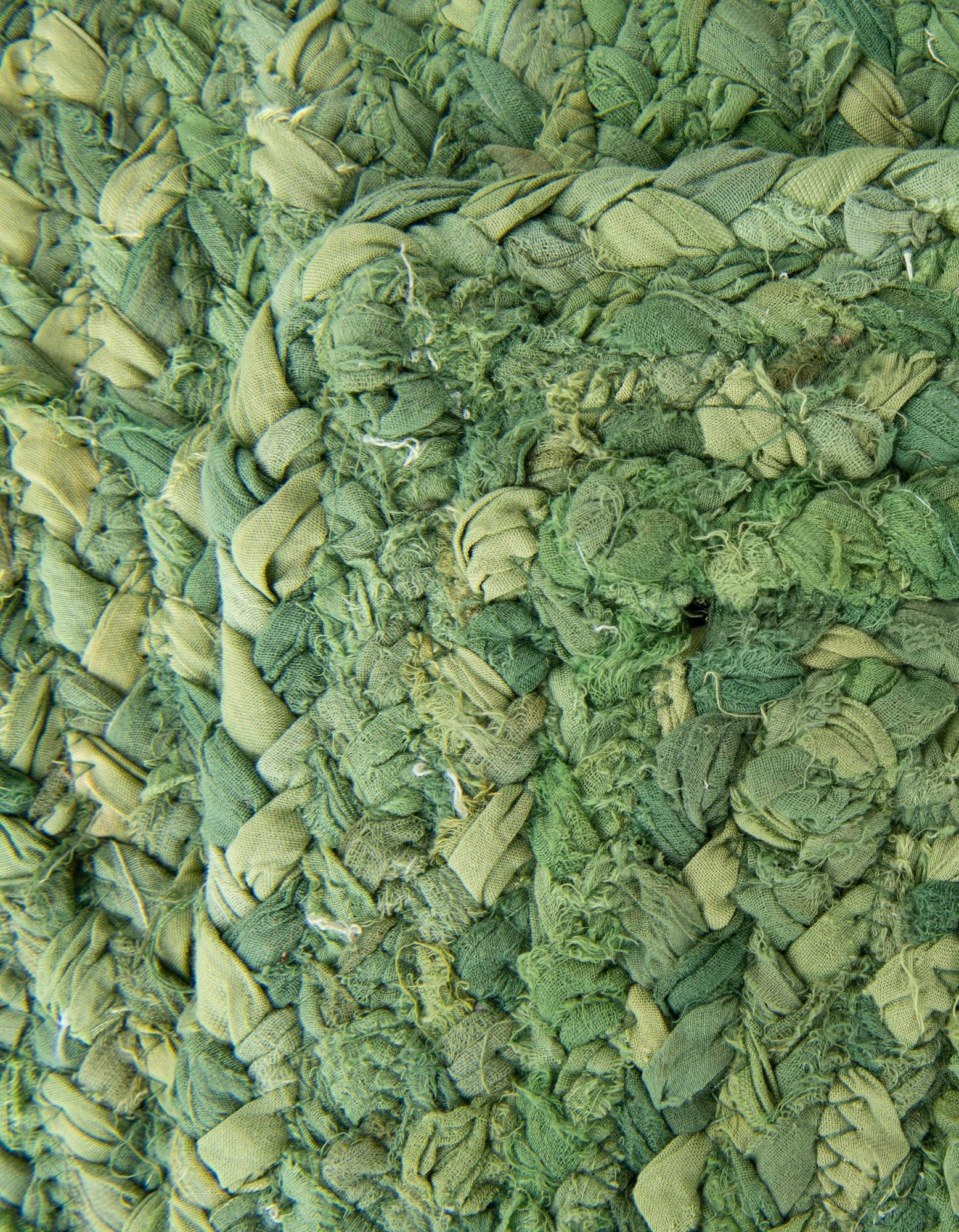 Bungalow Rose Awena Handmade Braided Cotton Green Area Rug in Green ...