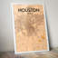 Houston 1 Piece Wall Art-1457910935
