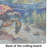 Loggerhead Sea Turtle Glass Cutting Board Large