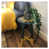 Yellow/Grey