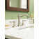 Acqui Widespread Bathroom Faucet with Drain Assembly