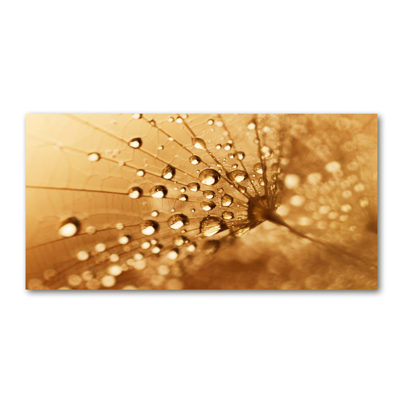 Dandelion - Wrapped Canvas Print
