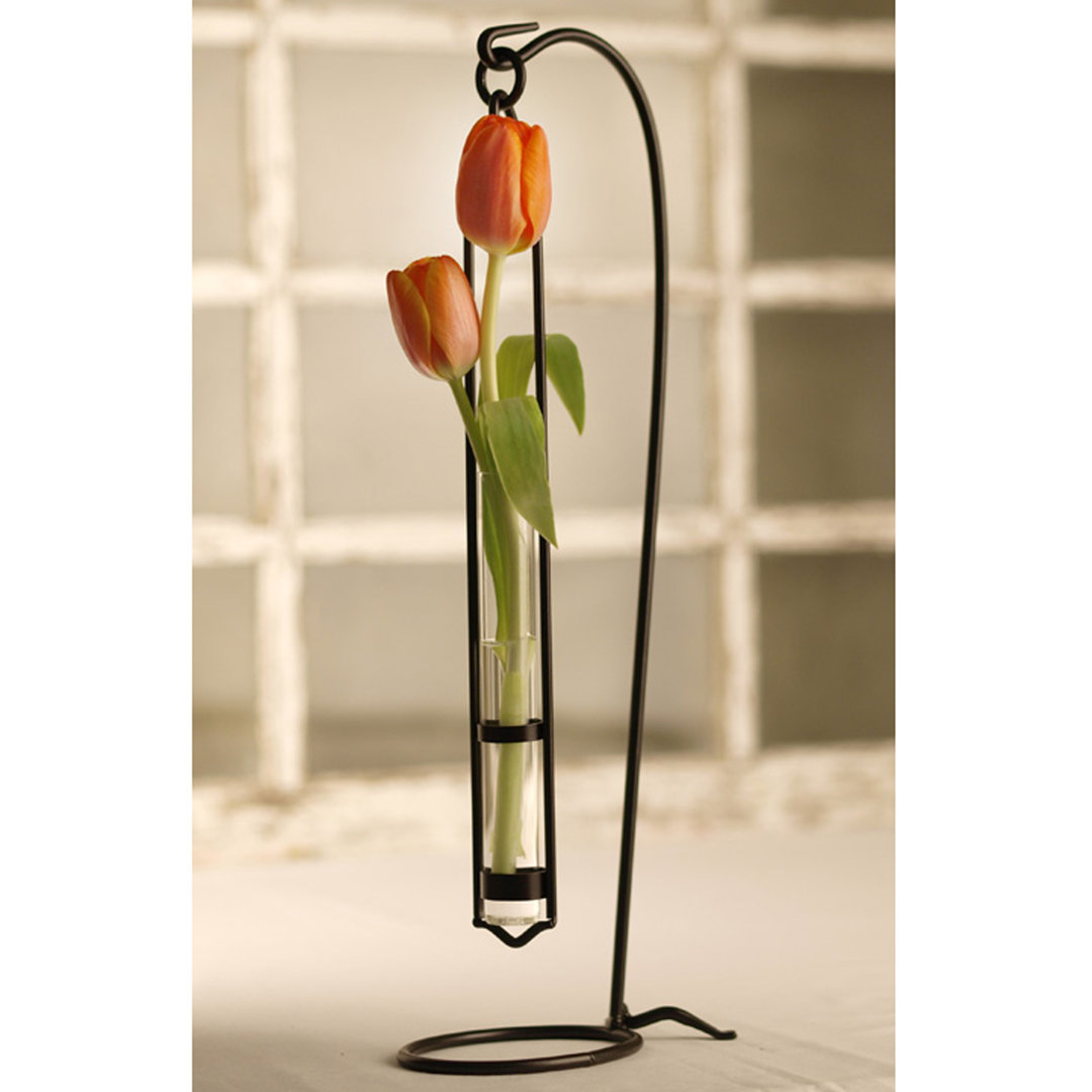 Almanzar Glass Wall Vase Gracie Oaks