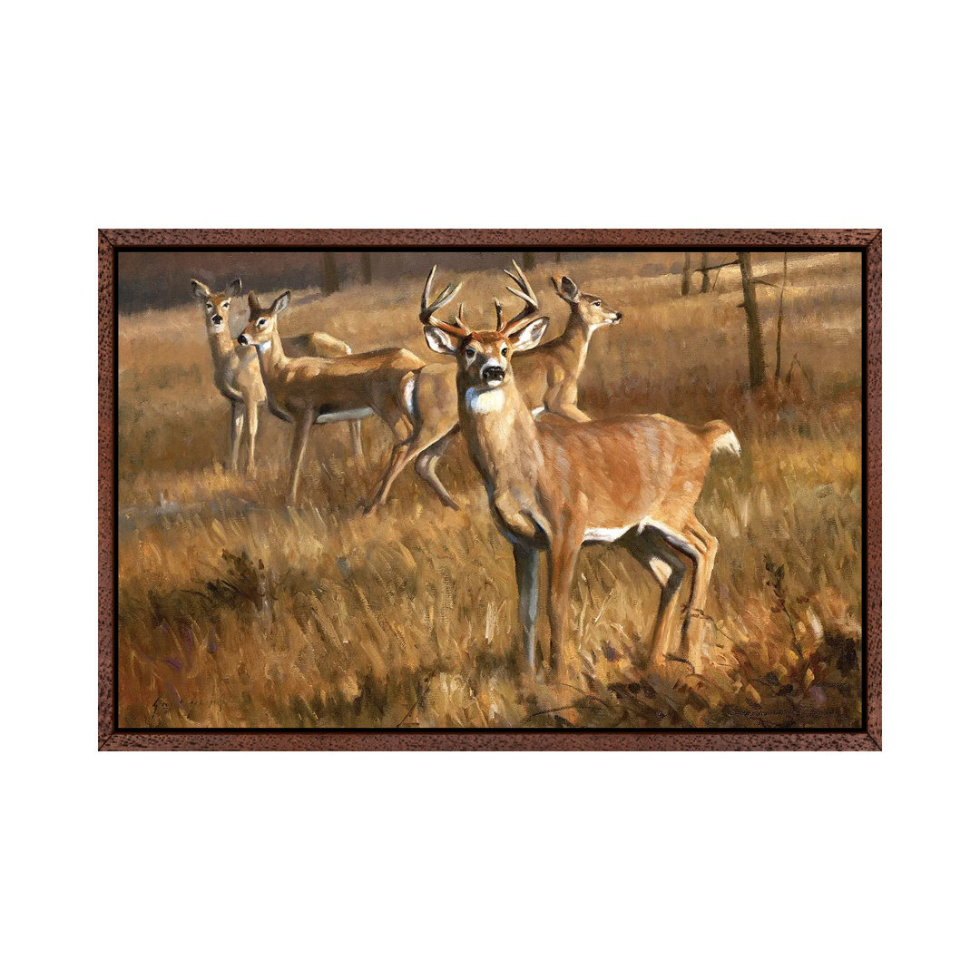 Whitetail Deer von Grant Hacking - Giclée auf Leinwand in der Galerie