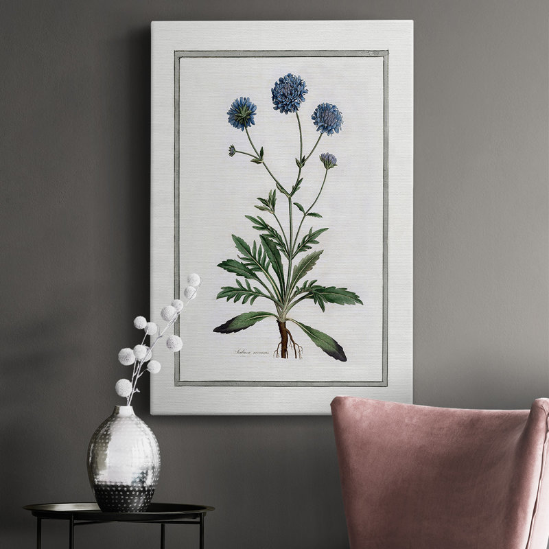 «Soft Botanical II», impression sur toile tendue