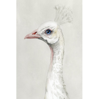 Alpine Peacock II by Grace Popp - Wrapped Canvas Print