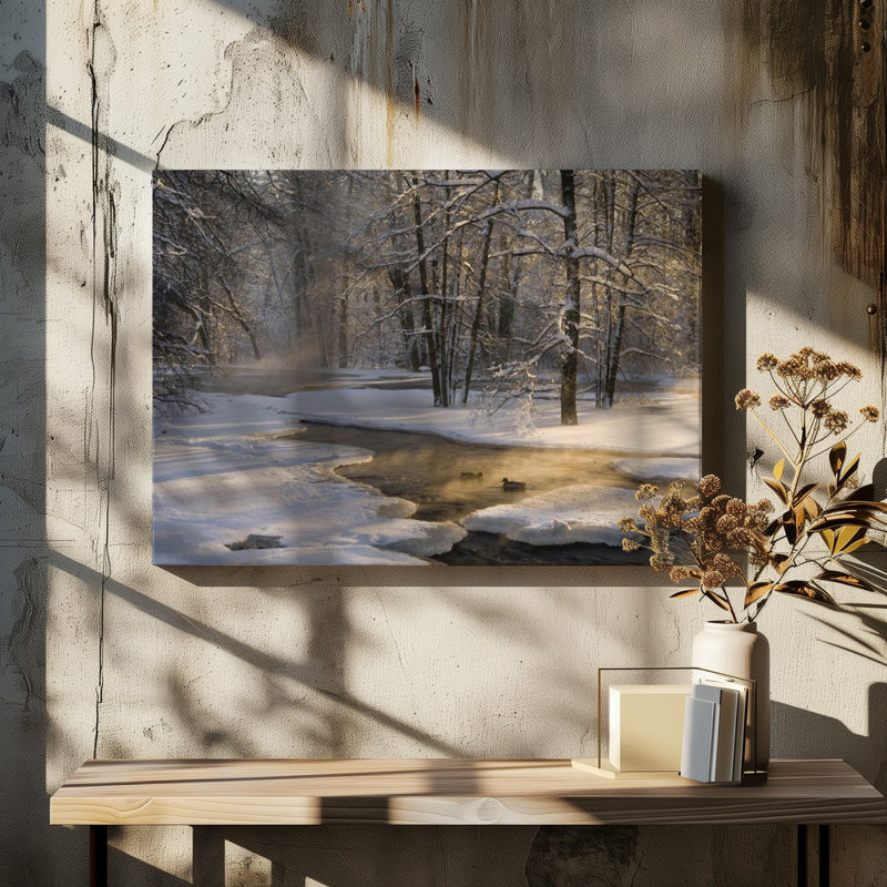 Wrapped Canvas Print, 50.8 cm H x 76.2 cm W