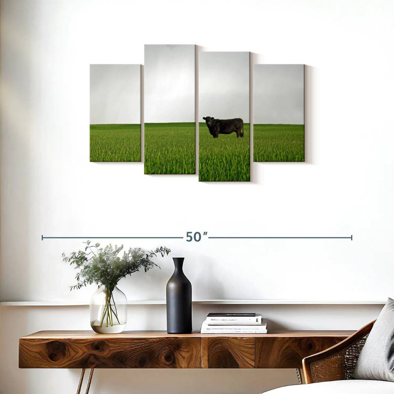 Brampt Angus Cow, 22" H x 36" W