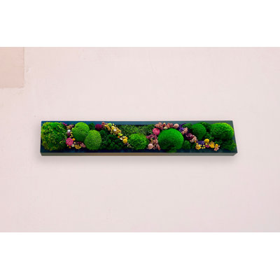 Symbiotikwalls Preserved Moss Wall Art | Moss Panels & Centerpieces | Home Décor