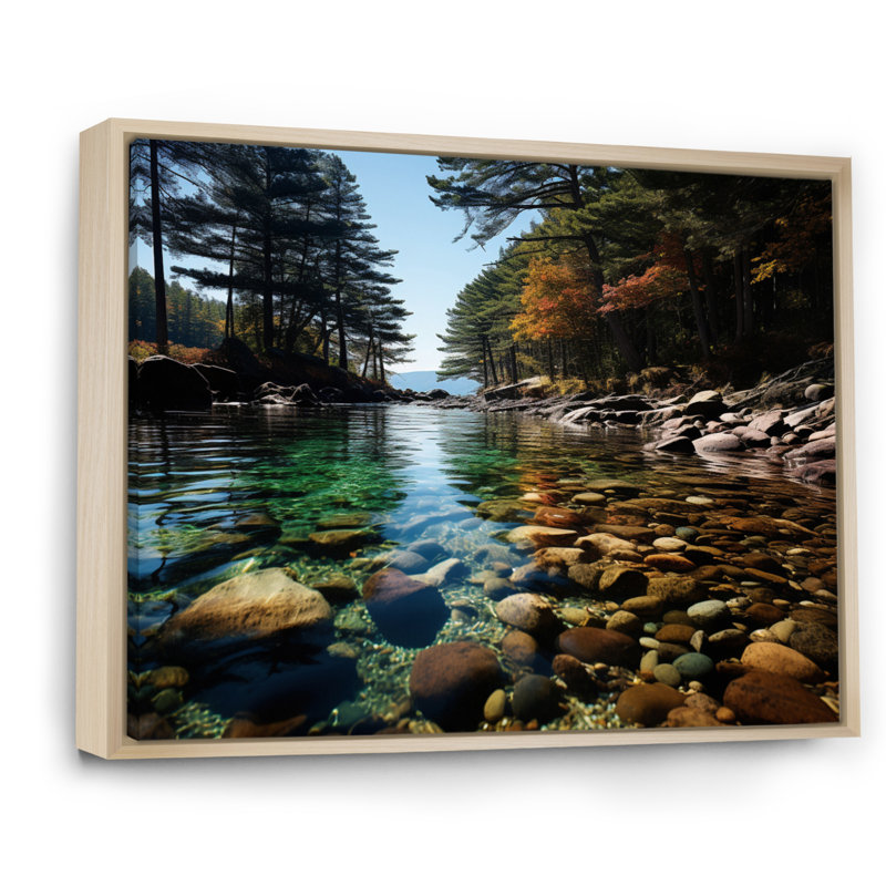Forêt, parc national Acadia II - forêt, art mural, H 24 po x l 32 po x P 1 po, Cadre naturel flottant