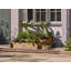 Telscombe Wood Planter Box