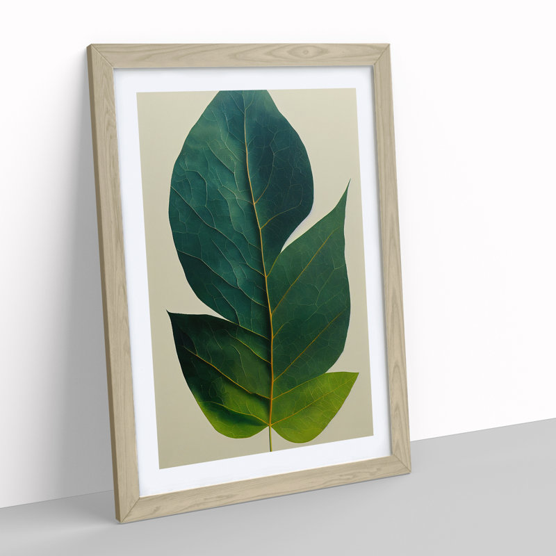Single Plant Leaf No.2 - Framed Print, 46cm H x 34cm W x 2cm D, Oak Framed