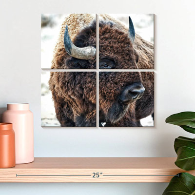 Brampt In The Presence Of Bison