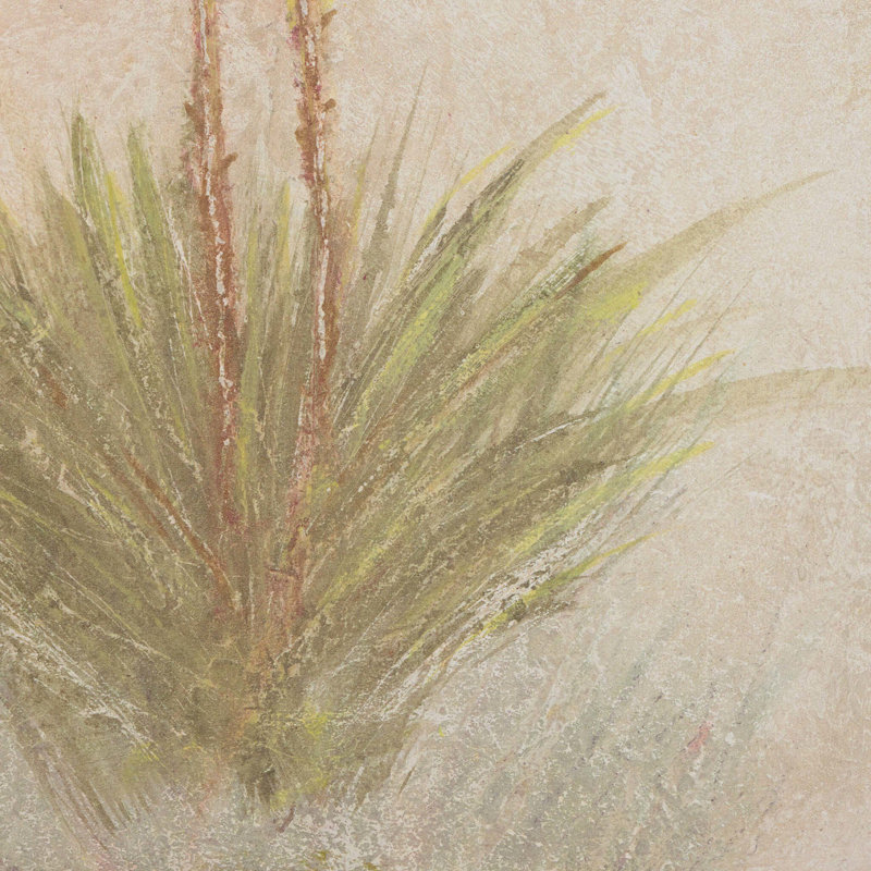 Yucca by Paul Meyer, 30 x 40'