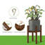 Caez Plant Stand