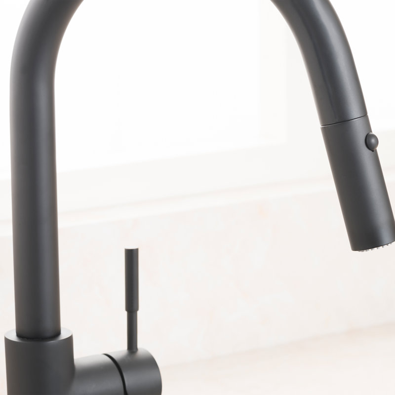 Arthur Single Handle Kitchen Faucet with Side Spray and Accessories, Matte Black