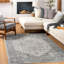 Oriental Area Rug-529229305