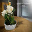 Natoyia Table Vase