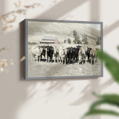Cattle Ranch -Framed Print - Restickable