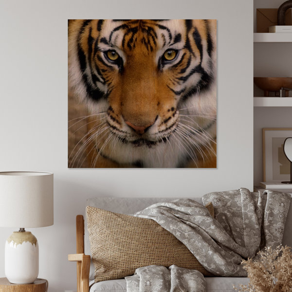 Ebern Designs Portrait Of A Tigers Face On Wood Print | Wayfair