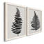 «Forest Fern III», reproduction de cadre photo sur toile 2 pièces-957532919-957532920