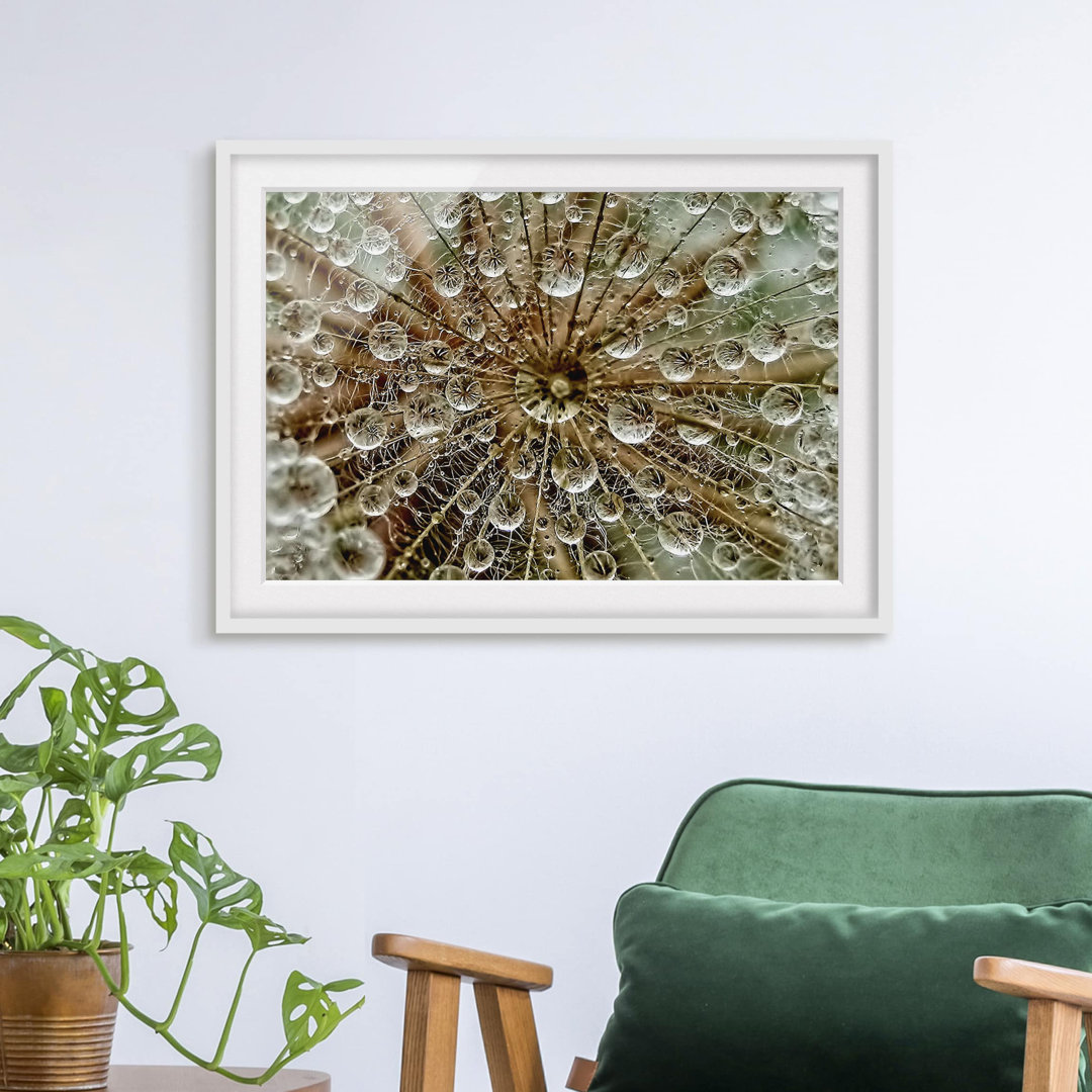 Gerahmtes Poster Dandelion in Autumn