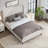 Chenille Fabric Upholstered Bed-636807873