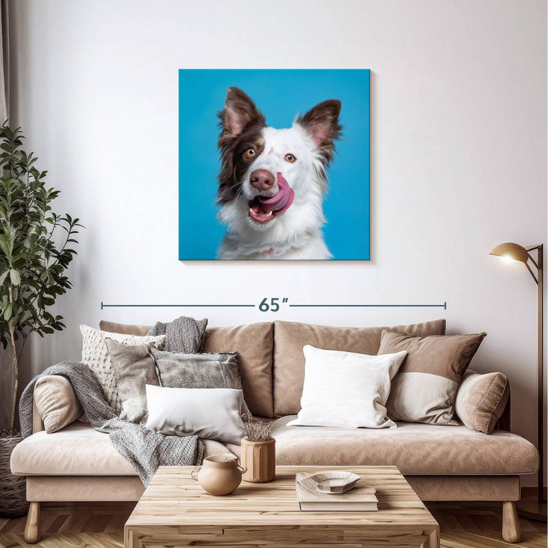 Charming Pooch
