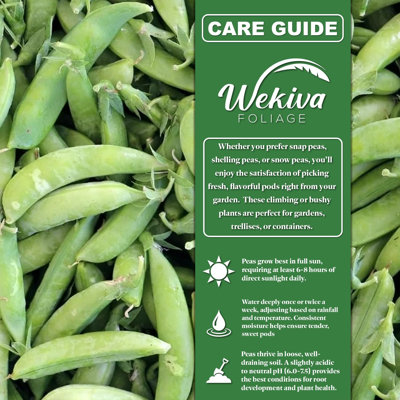 Avalanche Pea Seed Starter Kit - Pea Seeds with Tray Line and Half Quart Vegetable Soil Mix - Grow Your Own Vegetables