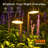 Black Solar Powered Integrated LED Accent Pack