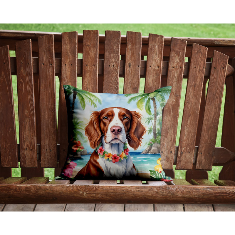 Coussin décoratif intérieur / extérieur Autre / Sans motif, H 14 po x l 14 po
