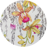 Orchid Pangea Placemat Set