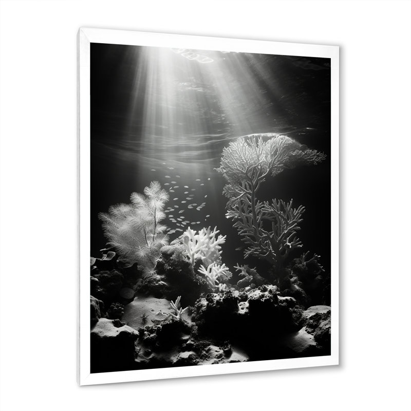 «Black and White Coastal Corals - Beach & Ocean», reproduction sur toile, Cadre photo blanc, H 32 po x l 24 po