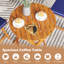 Ensemble bistro 3 pièces pliant en bois d'acacia avec coussins-289927916