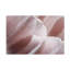 Œuvre sur toile, bolologique rose-105649809